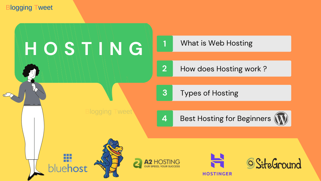 What is Web Hosting